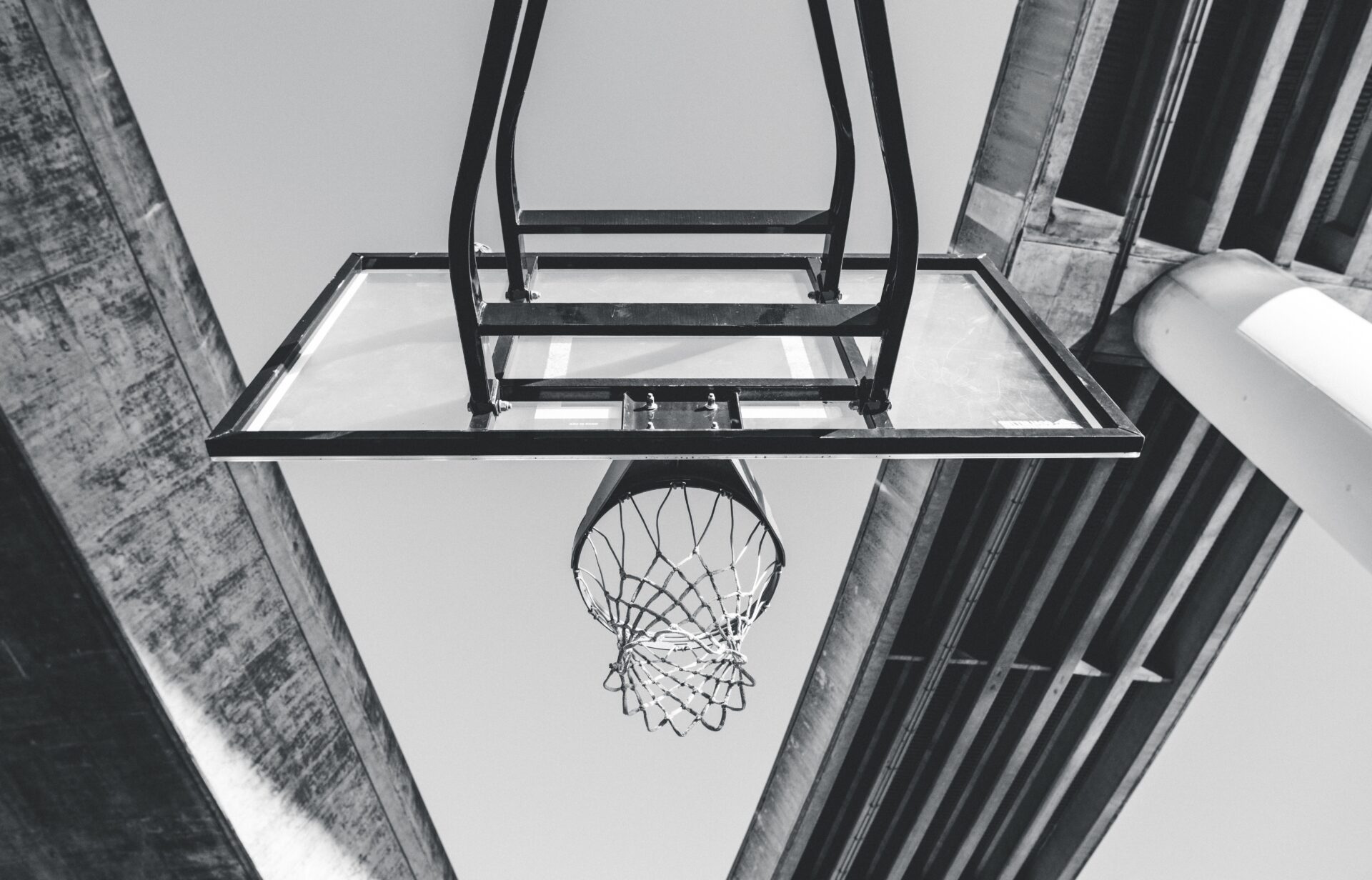 バスケ留学経験を活かすBリーグコーチの秘密