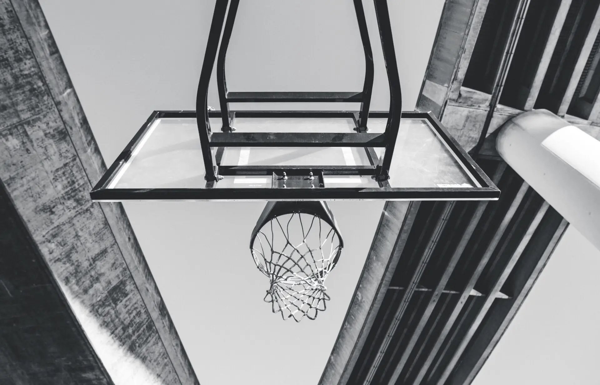 バスケ留学経験を活かすBリーグコーチの秘密